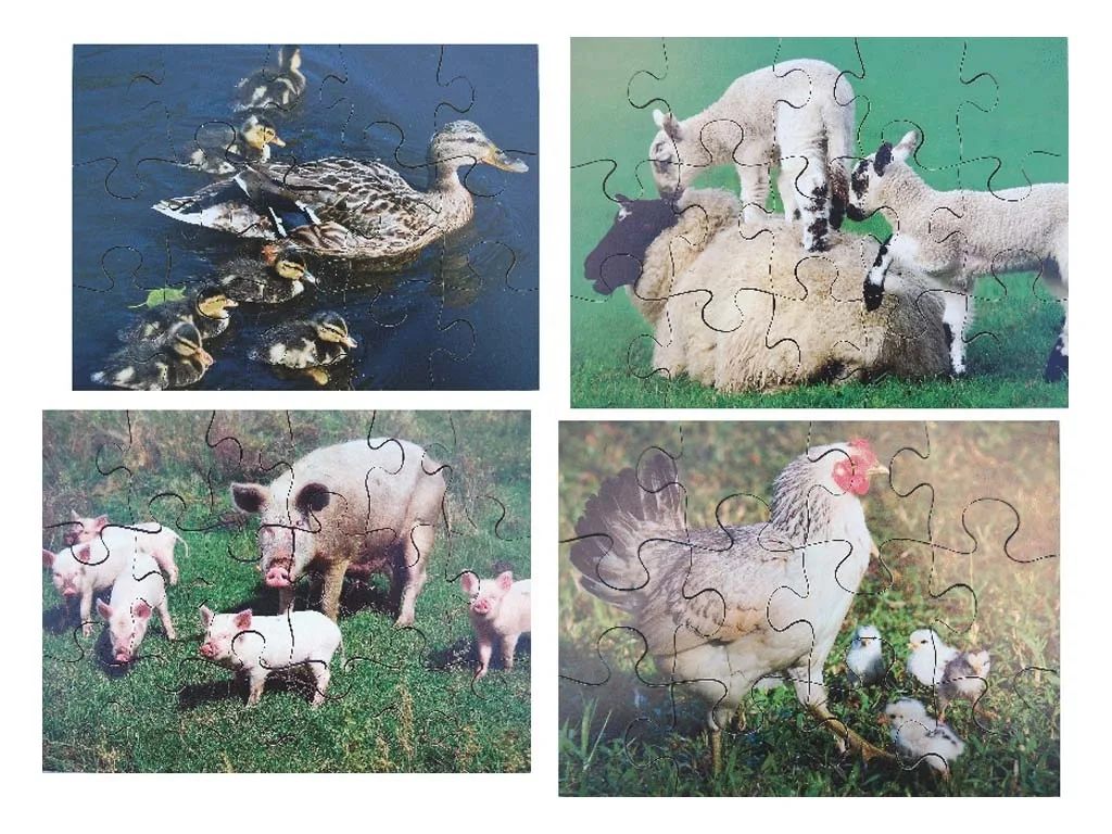 ΠΑΖΛ ΖΩΑ ΤΗΣ ΦΑΡΜΑΣ ΣΕΤ 8