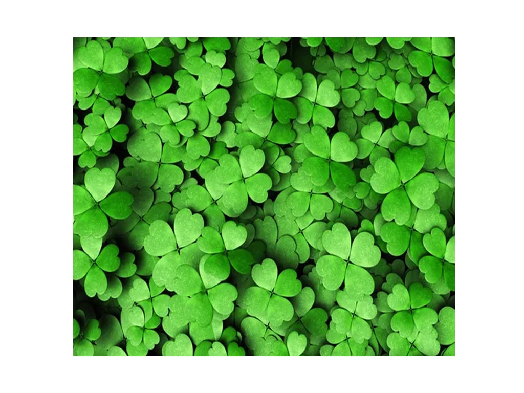 ΧΑΡΤΟΝΙ PHOTO ΤΡΙΦΥΛΛΙ 49,5Χ68 εκ. ΧΑΡΤΟΝΙ PHOTO ΤΡΙΦΥΛΛΙ 49,5Χ68 εκ.