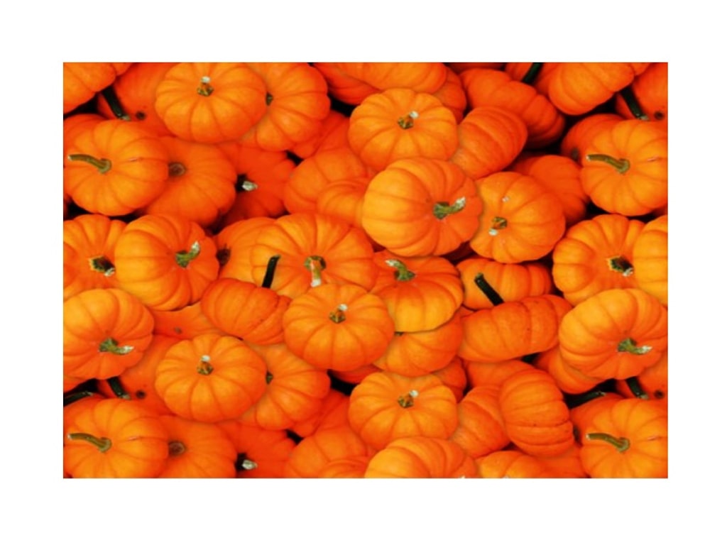 ΧΑΡΤΟΝΙ PHOTO ΚΟΛΟΚΥΘΕΣ 49,5Χ68 εκ.