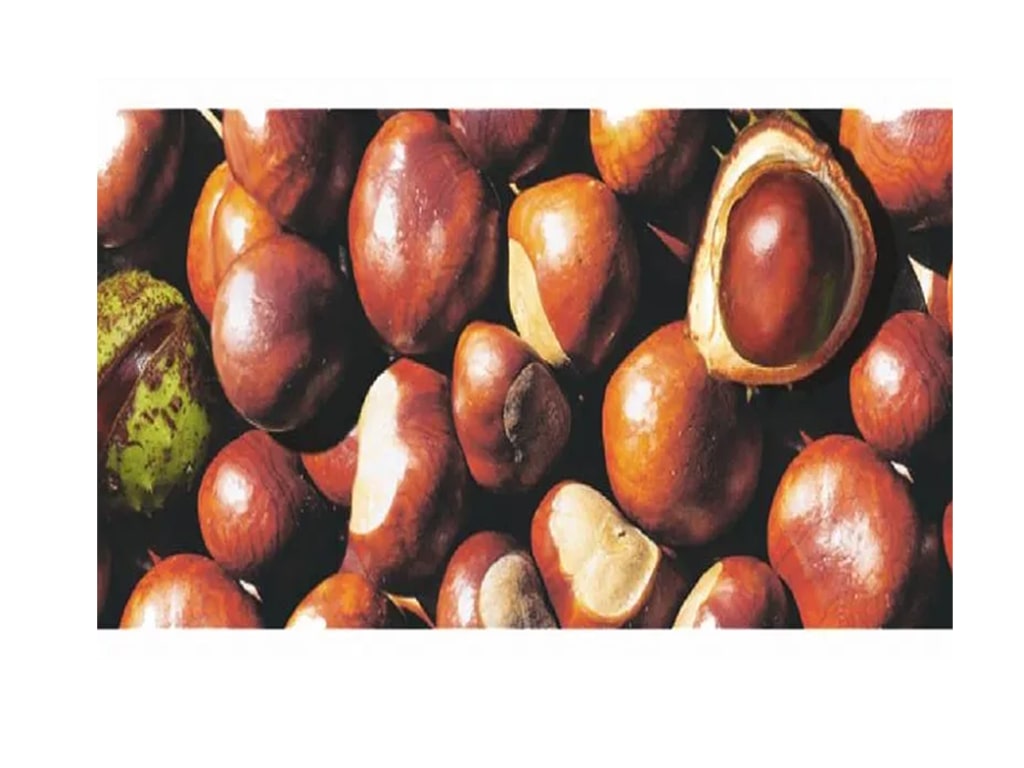 ΧΑΡΤΟΝΙ PHOTO ΚΑΣΤΑΝΑ 49,5Χ68 εκ.