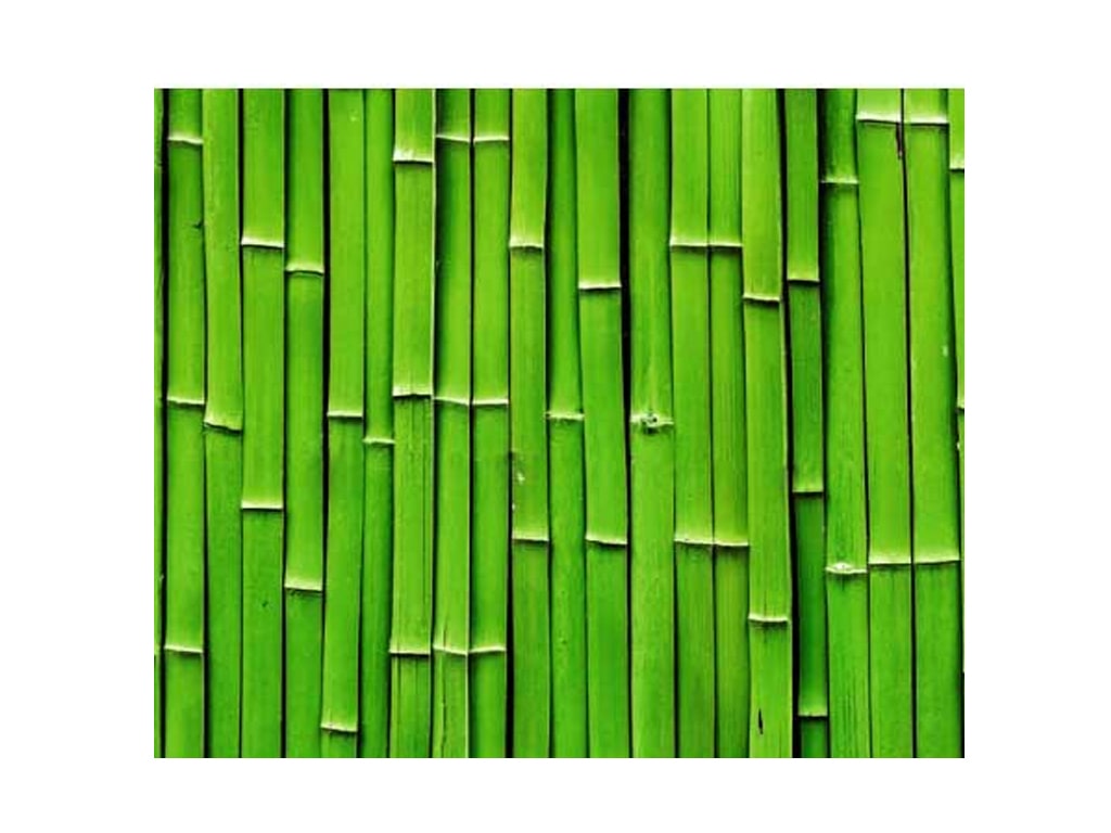 ΧΑΡΤΟΝΙ PHOTO BAMBOO 49,5Χ68 εκ. ΧΑΡΤΟΝΙ PHOTO BAMBOO 49,5Χ68 εκ.