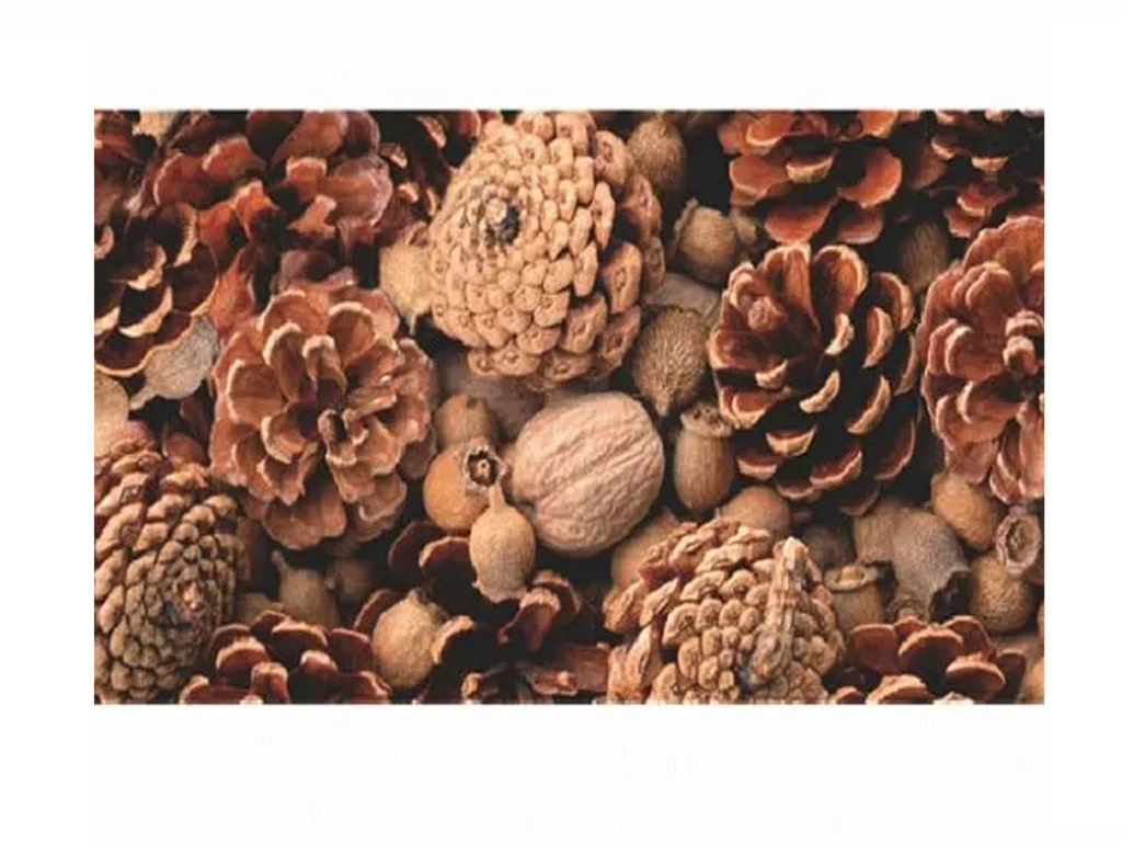 ΧΑΡΤΟΝΙ PHOTO ΚΟΥΚΟΥΝΑΡΙΑ 49,5Χ68 εκ