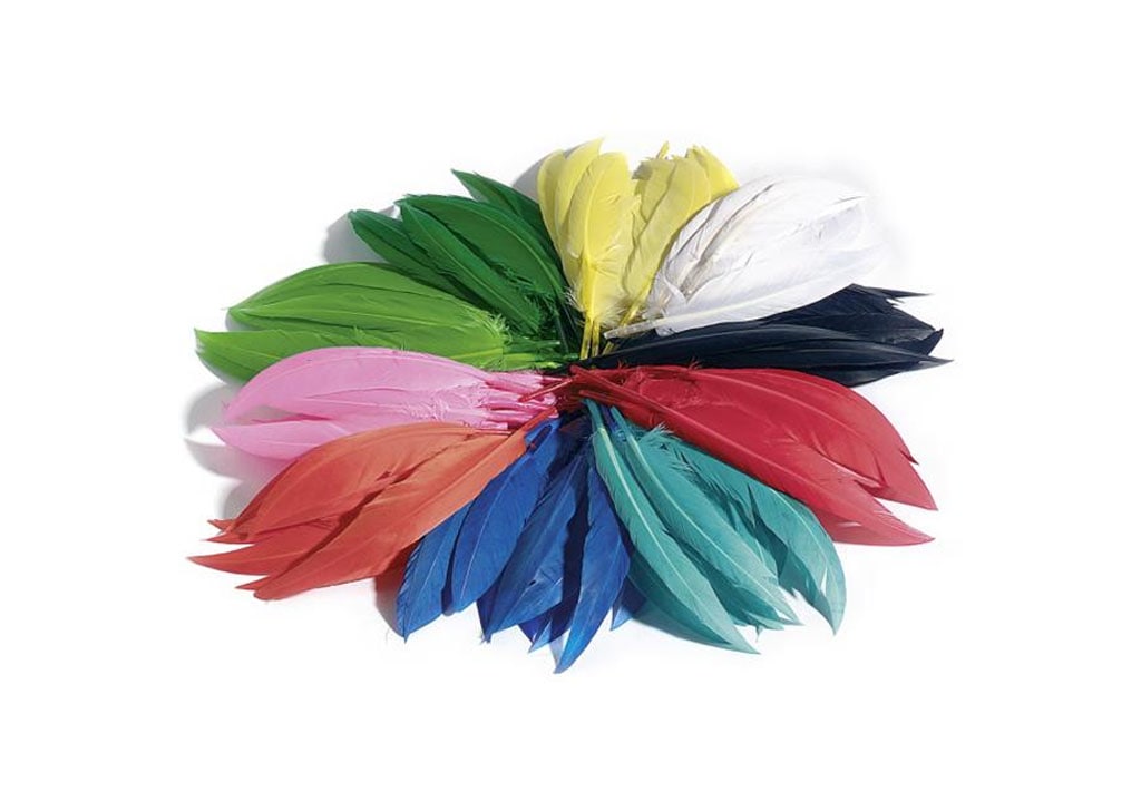 ΦΤΕΡΑ ΙΝΔΙΑΝΟΥ 11-16 εκ. 10 γρ.