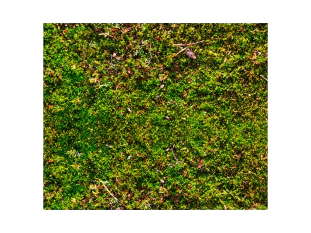 ΧΑΡΤΟΝΙ PHOTO ΒΡΥΑ 49,5Χ68 εκ