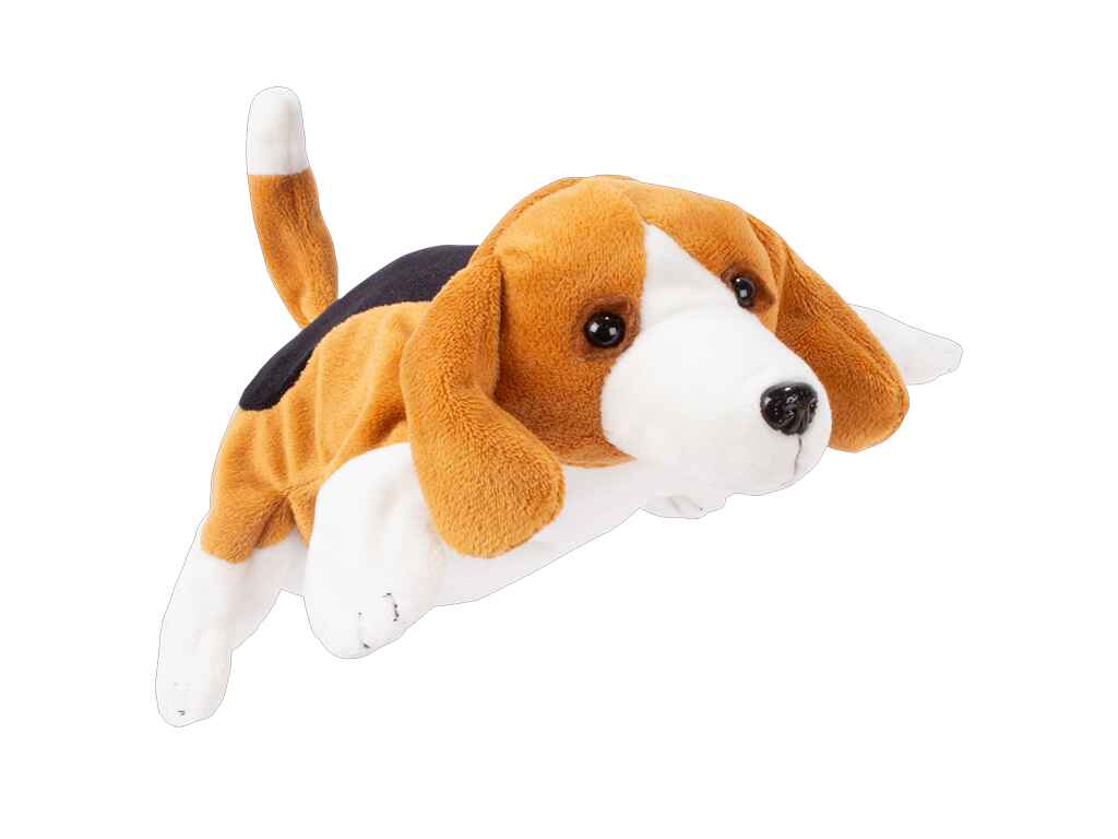 ΓΑΝΤΟΚΟΥΚΛΑ ΣΚΥΛΟΣ