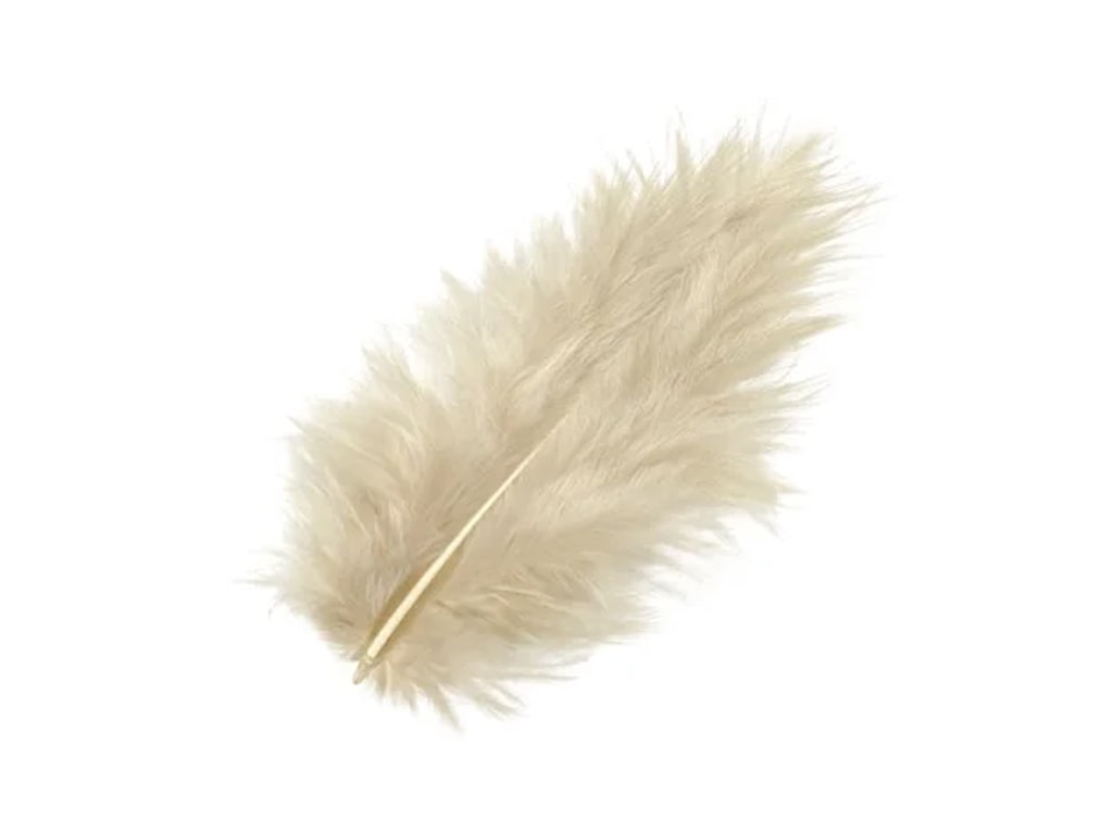 ΦΤΕΡΑ ΑΠΑΛΑ ΜΠΕΖ 10 εκ. 15 τεμ.