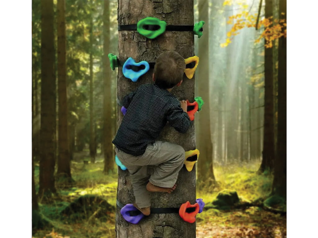 ΣΕΤ ΑΝΑΡΡΙΧΗΣΗΣ ΔΕΝΤΡΟΥ ΜΕ ΒΡΑΧΑΚΙΑ ΚΑΙ ΙΜΑΝΤΕΣ