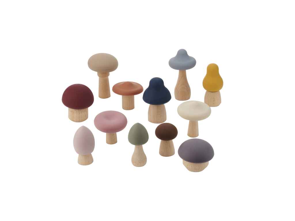 ΜΑΝΙΤΑΡΙΑ ΔΕΞΙΟΤΗΤΩΝ 12 τεμ.