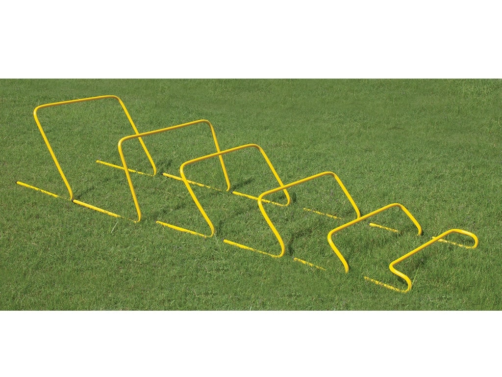 17569Y_1
